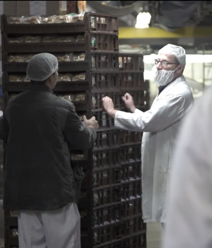 Cibl bakery
