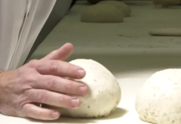 Cibl dough
