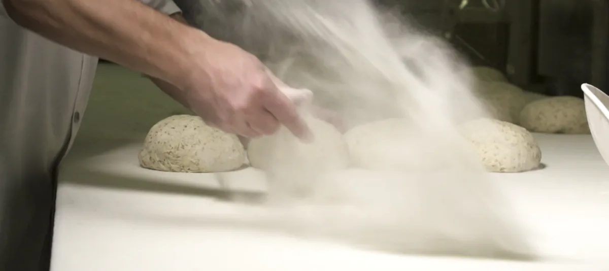 Cibl dough wide